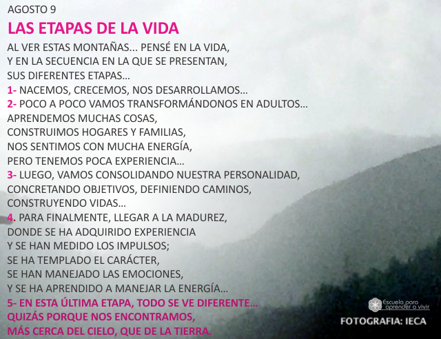 Las etapas de la vida